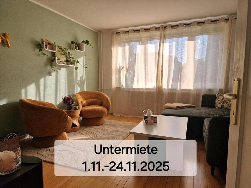 UNTERMIETE (!Temporär!) Wohnung 01.11.-24.11.2025 zimmer