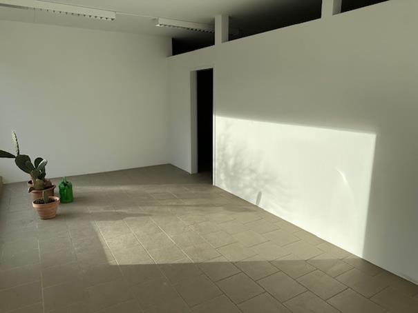 *Gewerbeanwesen in Kilianstädten - flexibel aufteilbar - Büro - Ausstellung - Lager* - Gewerbeobjekt Schöneck | Angebot:24125989