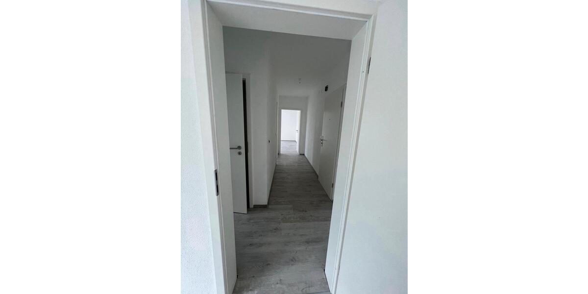 2,5 Zimmer Wohnung zu vermieten in Rumeln Kaldenhausen 2 zimmer