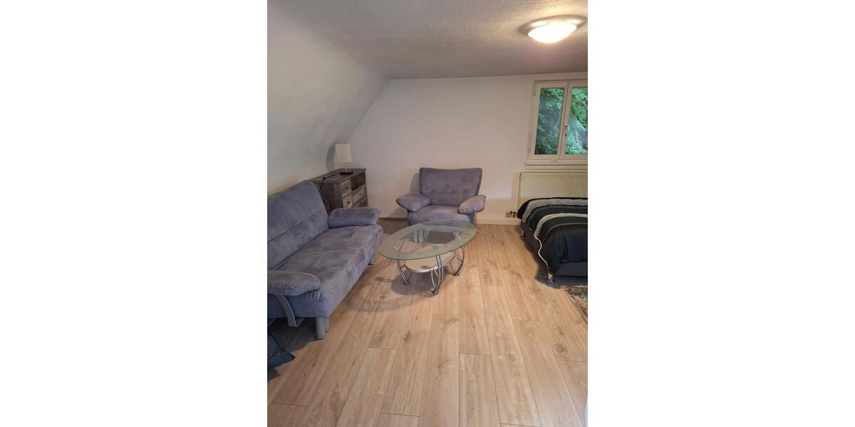 Wohnen auf Zeit Friesenheim - 1 Zimmer, 16 m&sup2;, 495&euro; | Angebot:25922757