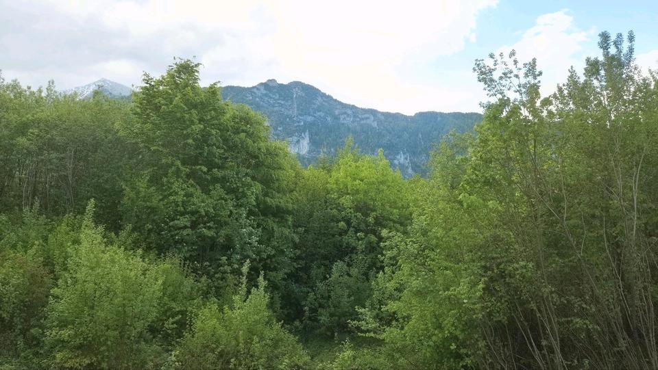 Etagenwohnung Inzell - 2 Zimmer, 40 m&sup2;, 500&euro; | Angebot:26623538