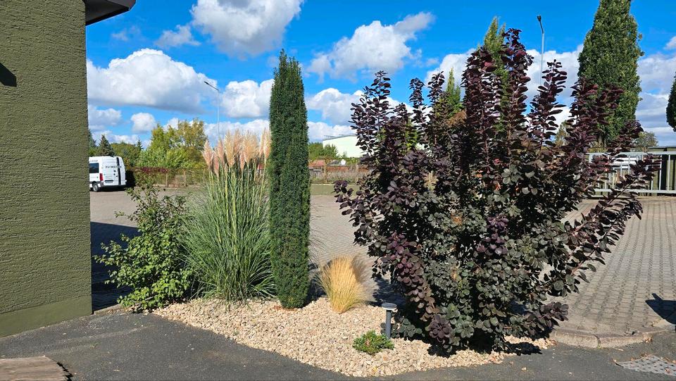 Gewerbeobjekt Sangerhausen - 700&euro; | Angebot:23314364