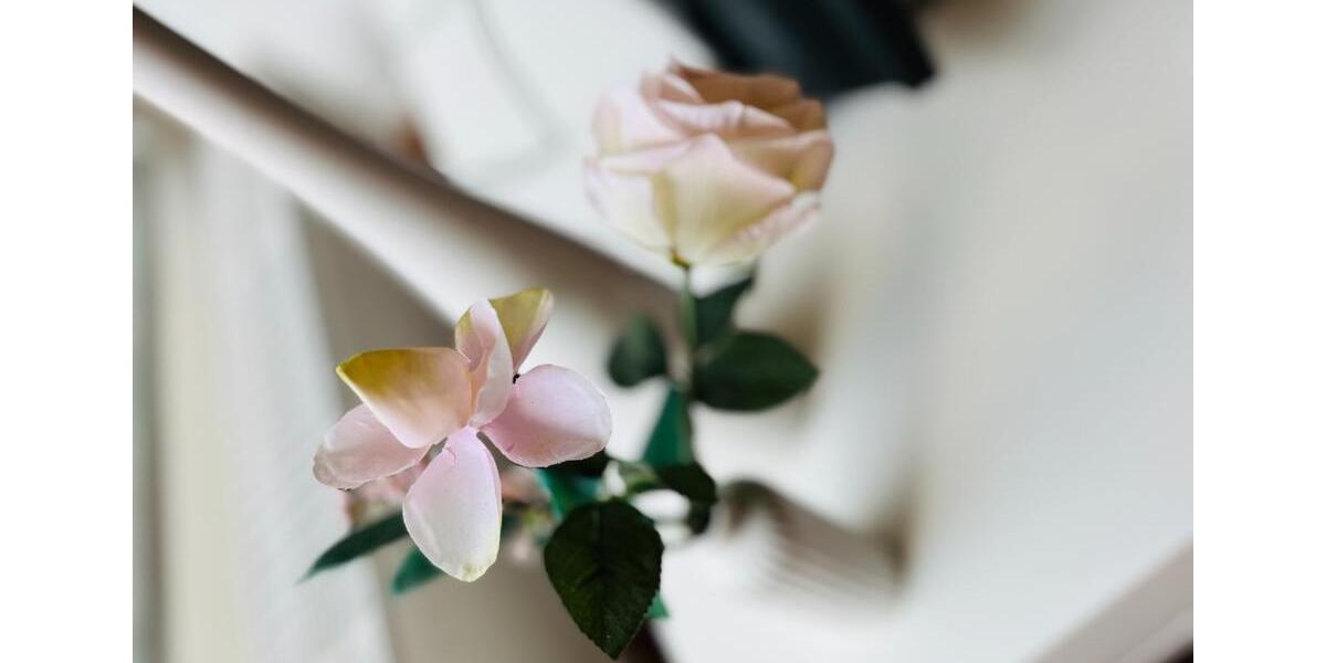 Wohnen auf Zeit Bergisch Gladbach Paffrath - 1 Zimmer, 65 m&sup2;, 1.300&euro; | Angebot:23836972