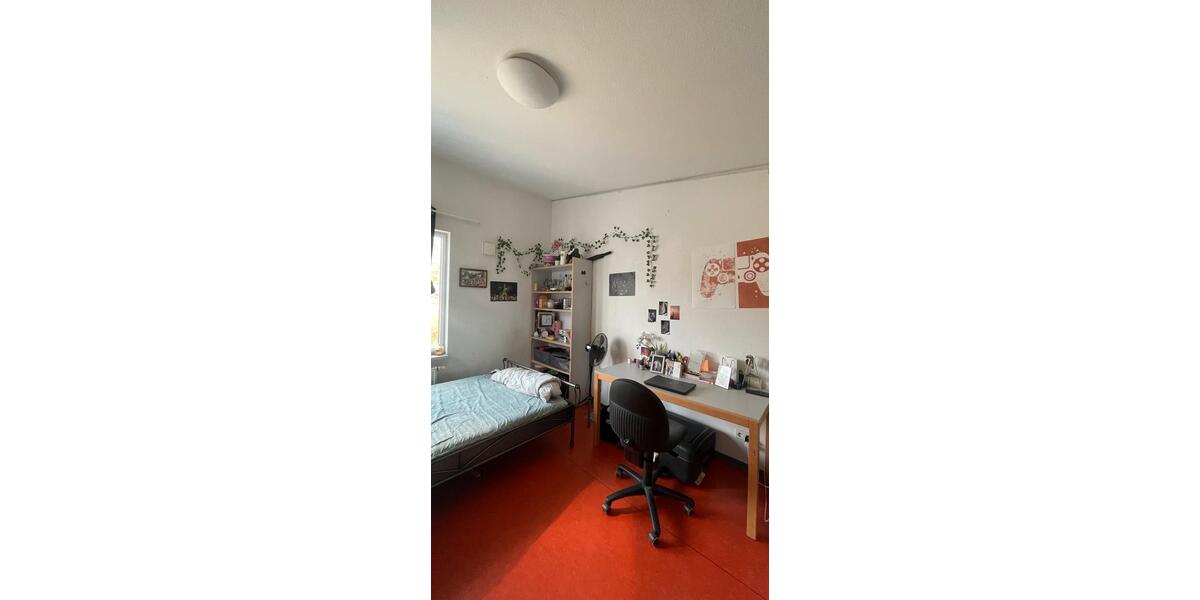 Wohnen auf Zeit Heidelberg Peterstal - 1 Zimmer, 16 m&sup2;, 500&euro; | Angebot:25853710