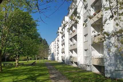 Wohnung Hermsdorf - 3 Zimmer, 60 m&sup2;, 350&euro; | Angebot:25648741