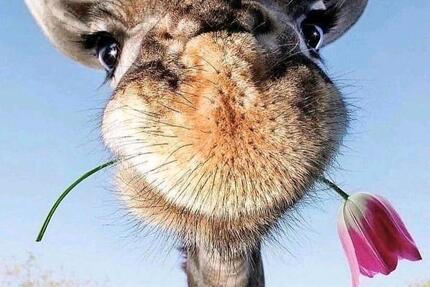 Wohnung erwünscht 3 zimmer