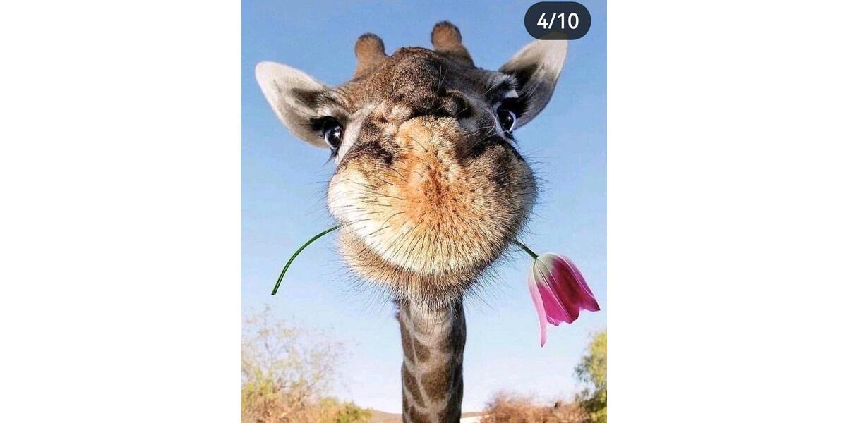 Wohnung erwünscht 3 zimmer