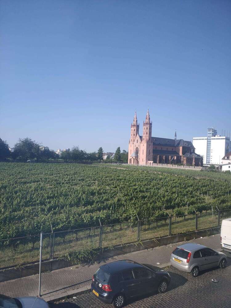 Wohnung zum Mieten in Worms 1.320 € 110 m²