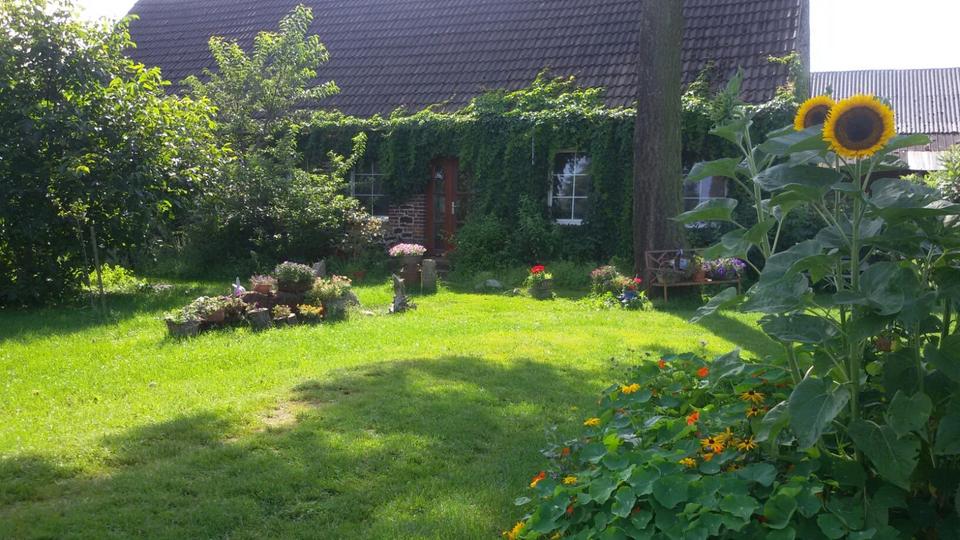 Erdgeschoßwohnung Lewitzrand - 1 Zimmer, 33 m&sup2;, 250&euro; | Angebot:22066242