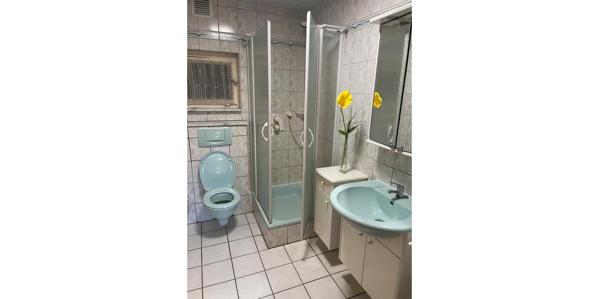 Einfamilienhaus Grebenstein - 6 Zimmer, 240 m&sup2;, 1.500&euro; | Angebot:23847216