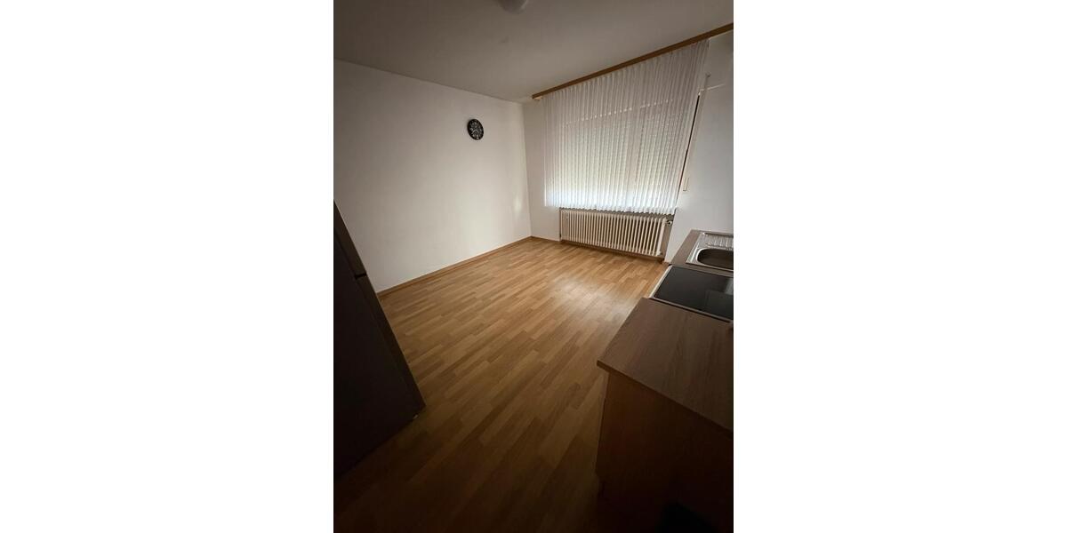 Erdgeschoßwohnung Sulzbach am Main - 1 Zimmer, 50 m&sup2;, 500&euro; | Angebot:24455619