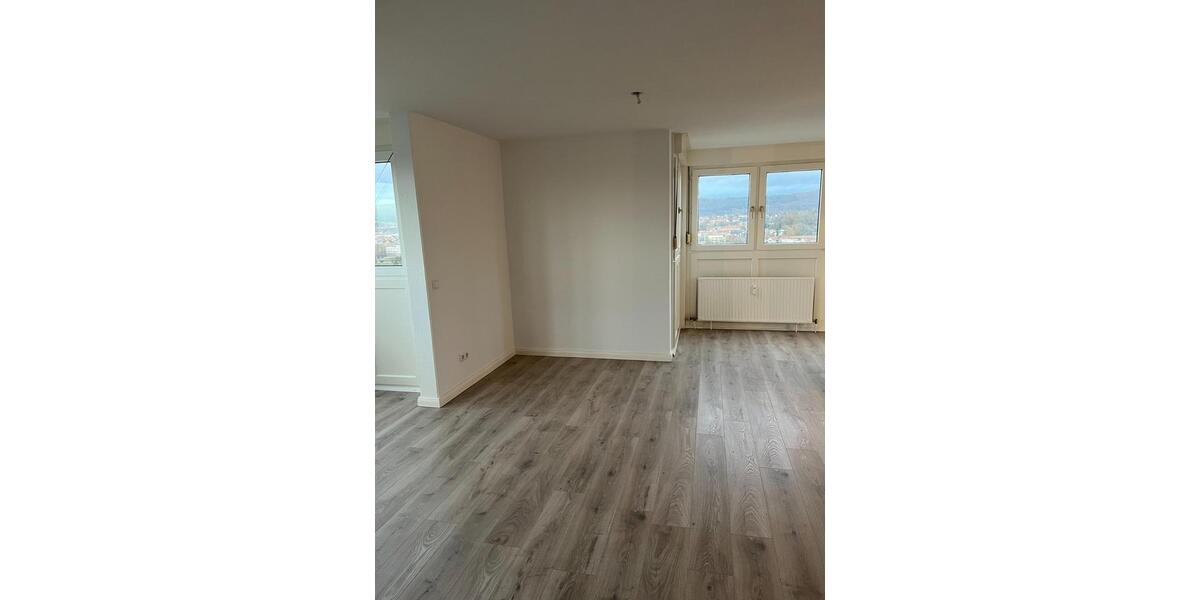 Große helle 1-Zimmer Wohnung mit Dachterrasse in LahrSchwarzwald 1 zimmer