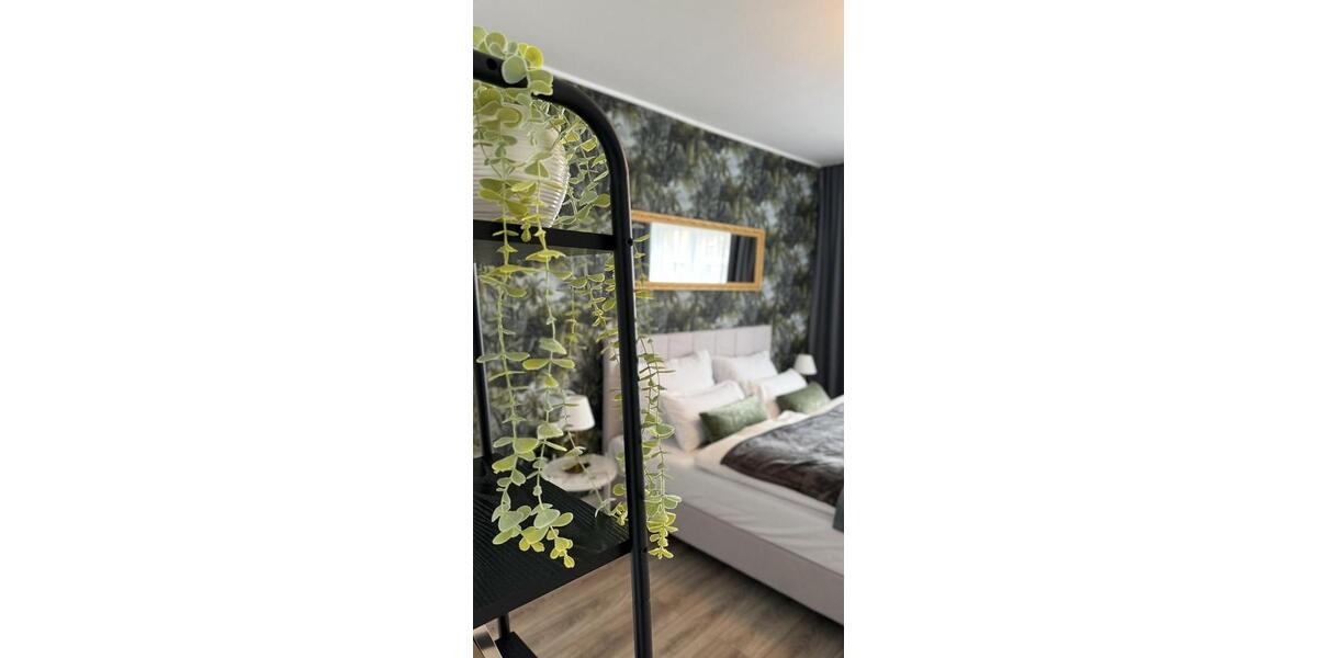 Wohnen auf Zeit Augsburg Innenstadt - 2 Zimmer, 50 m&sup2;, 1.150&euro; | Angebot:26664558