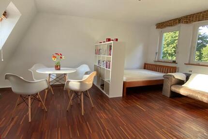 Helles 1 Raum-Appartement möbliert, Wismar Altstadt 1 zimmer