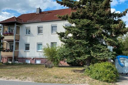 4 Raum Wohnung Muldestausee Gossa zu vermieten 4 zimmer