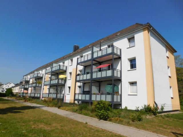 Moderne und gut geschnittene 2-Zimmer-Wohnung im EG in Uerdingen – bezugsfertig zimmer
