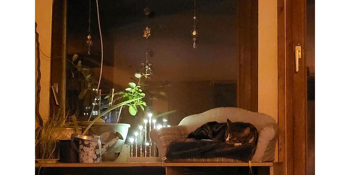 Wohnen auf Zeit Martfeld - 1 Zimmer, 20 m&sup2;, 150&euro; | Angebot:24496936