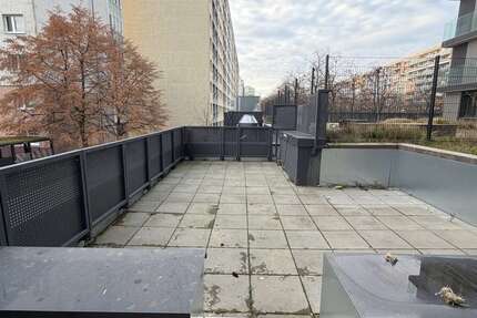 Wohnung zum Mieten in Berlin 1.350 € 55 m² 2 zimmer