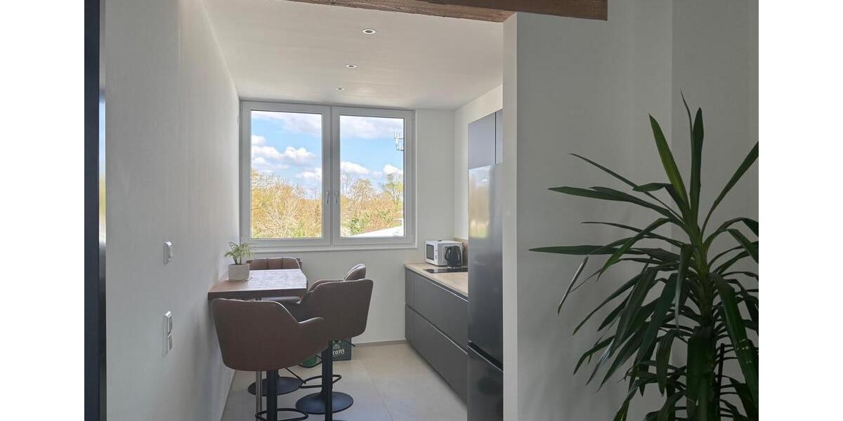 Gewerbeobjekt Au am Rhein - 255&euro; | Angebot:24554364