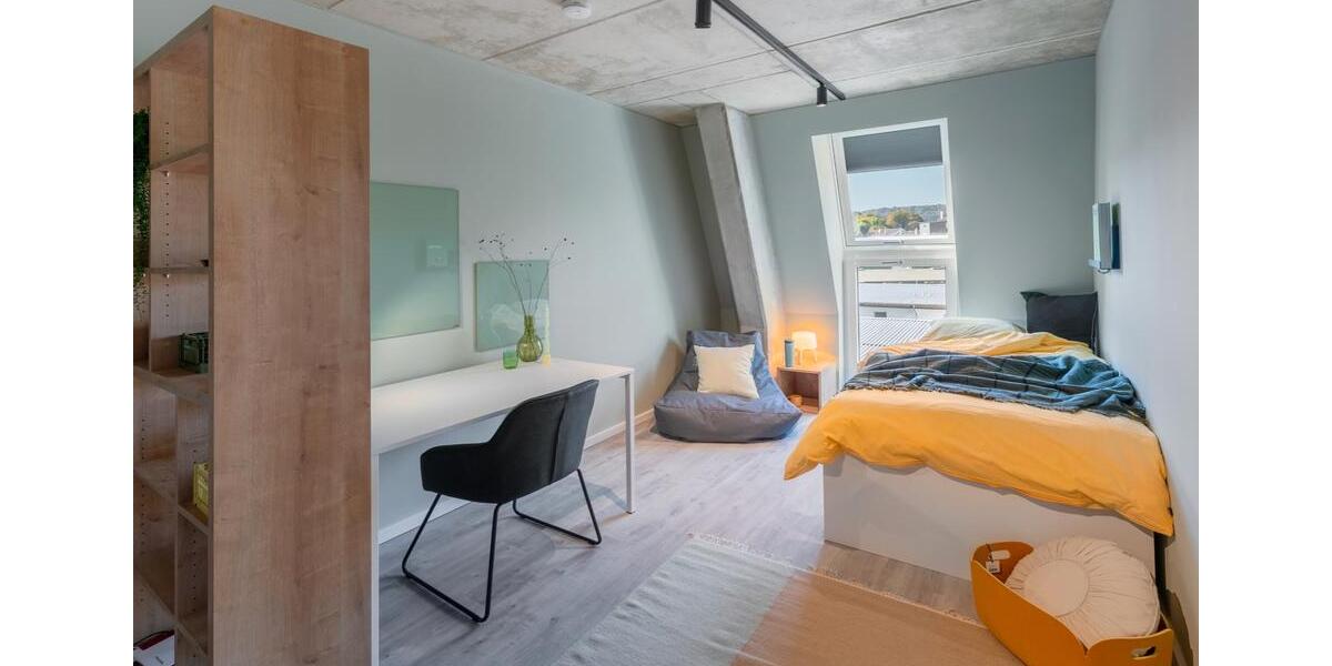 Smart Living für Studierende: Flow-Standard 1 zimmer