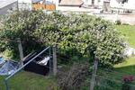 Etagenwohnung Lanitz-Hassel-Tal Tal - 3 Zimmer, 66 m&sup2;, 450&euro; | Angebot:25532828