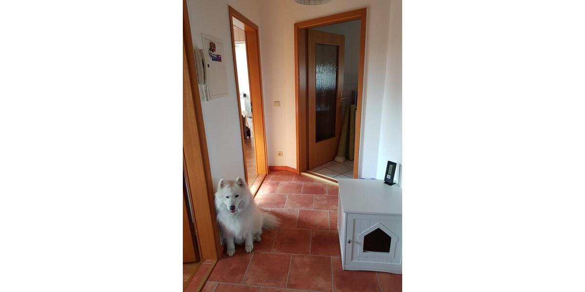 Dachgeschoßwohnung Senftenberg - 3 Zimmer, 60 m&sup2;, 360&euro; | Angebot:25056523