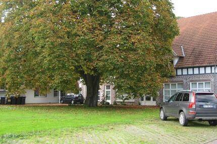 Gemütliche Dachgeschoß Wohnung in ländlicher Natur! 2 zimmer