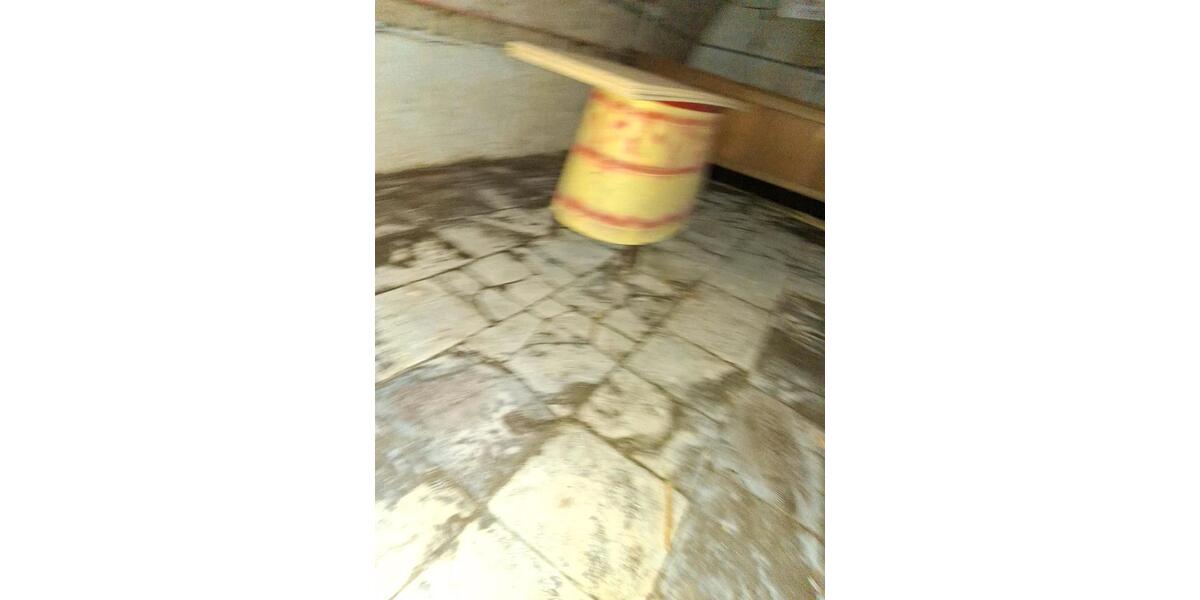 Etagenwohnung Mahlberg - 1 Zimmer, 20 m&sup2;, 250&euro; | Angebot:18496235