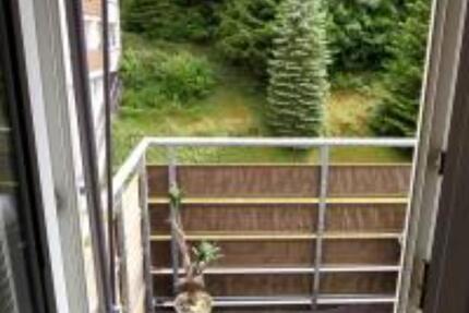 Wohnung Baiersbronn - 1 Zimmer, 18 m&sup2;, 500&euro; | Angebot:25087505