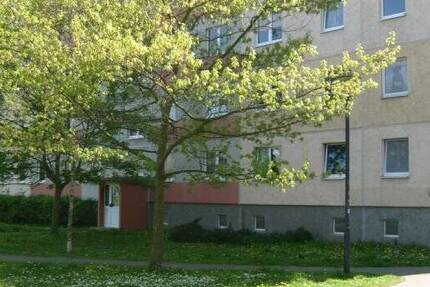 Wohnung Neubrandenburg Reitbahnviertel - 3 Zimmer, 55 m&sup2;, 260&euro; | Angebot:25685508