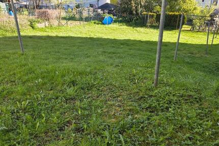 Wohnung Werdohl - 2 Zimmer, 59 m&sup2;, 340&euro; | Angebot:26338402