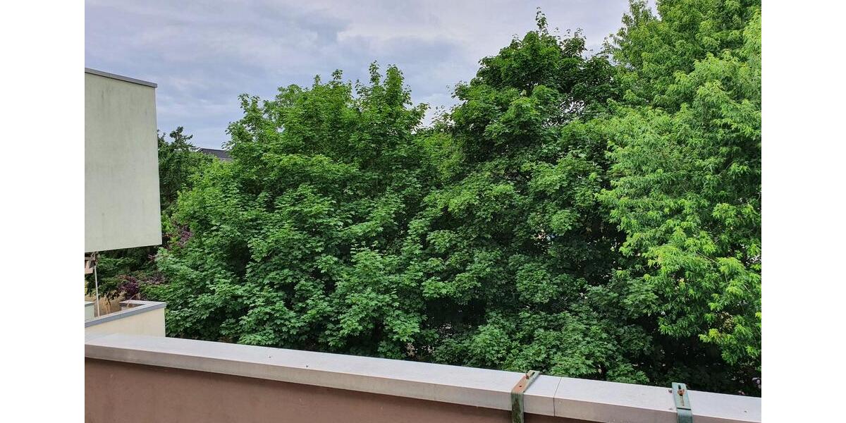 Etagenwohnung Celle - 3 Zimmer, 75 m&sup2;, 668&euro; | Angebot:26523663
