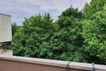 Etagenwohnung Celle - 3 Zimmer, 75 m&sup2;, 668&euro; | Angebot:26523663