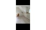 Dachgeschoßwohnung Eisenbach (Hochschwarzwald) - 4 Zimmer, 80 m&sup2;, 700&euro; | Angebot:26483152