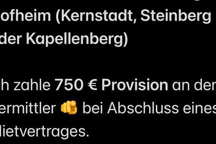 Wohnung Hofheim am Taunus - 2 Zimmer, 65 m&sup2;, 750&euro; | Angebot:26037617