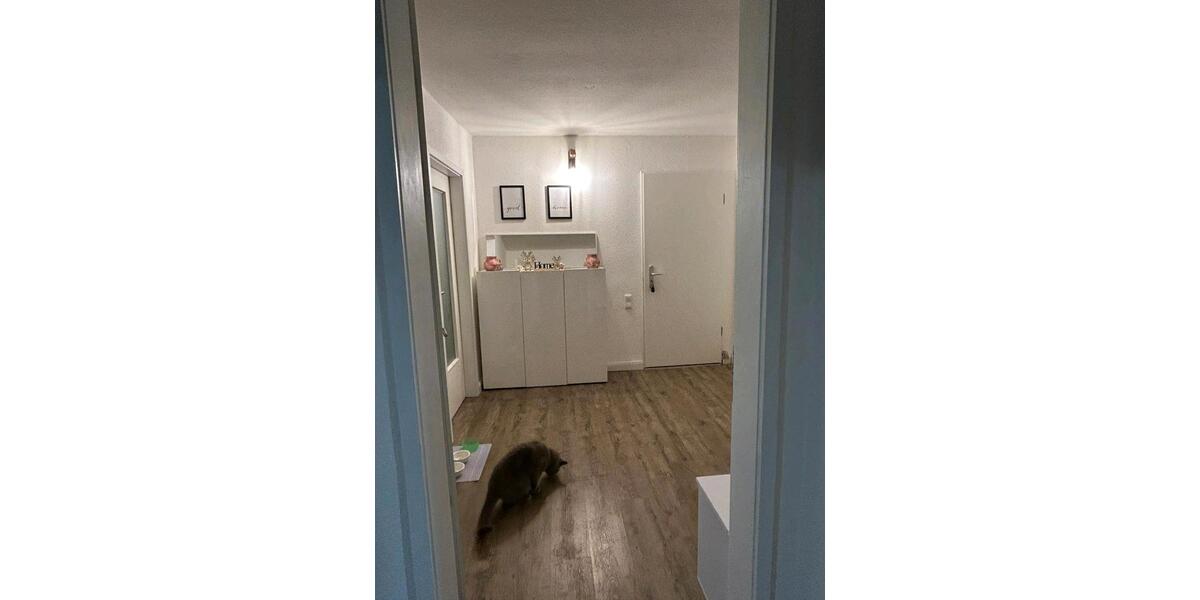 Schöne helle 3ZKDB Wohnung in Walheim ca 80 qm 3 zimmer