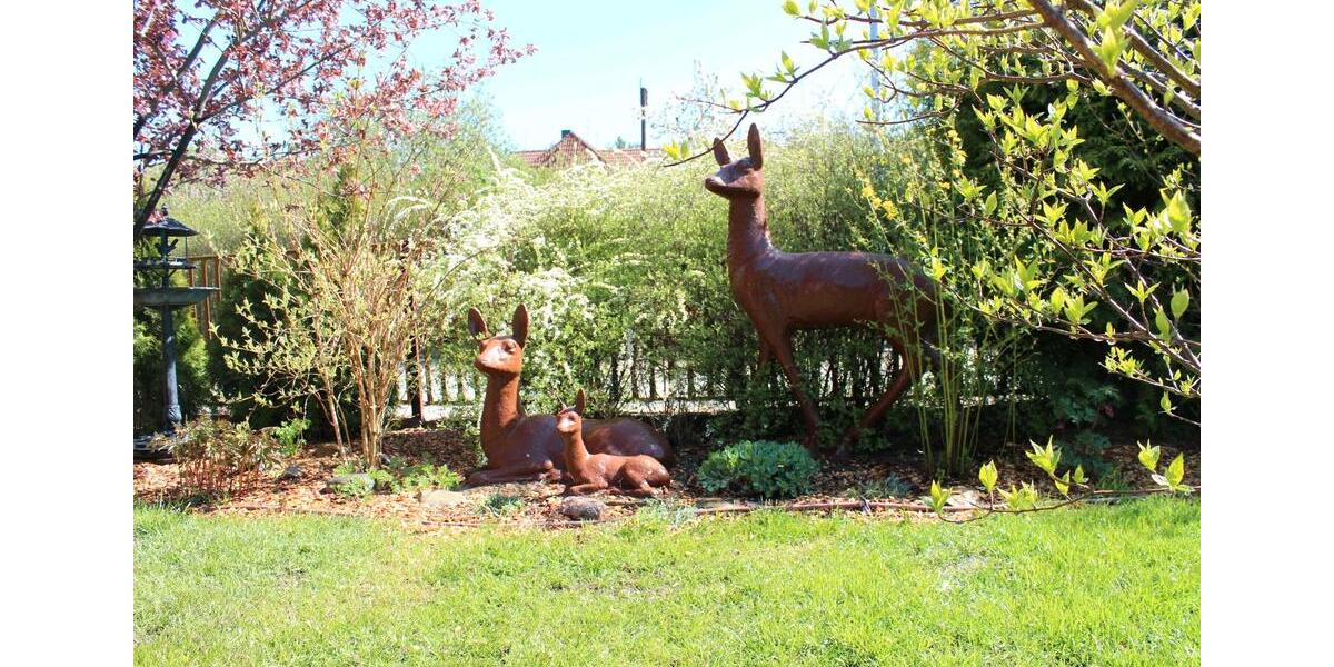 Ferienhaus frei ab 17.10.25 mit Kamin 3 zimmer