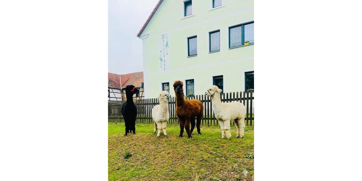 Wohnen auf Zeit Bobritzsch-Hilbersdorf Hilbersdorf - 1 Zimmer, 25 m&sup2;, 550&euro; | Angebot:26672236