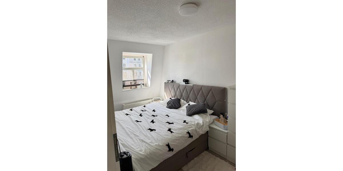 Dachgeschoßwohnung Döbeln - 2 Zimmer, 45 m&sup2;, 225&euro; | Angebot:26490608
