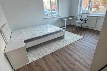 Wohnung Albstadt - 1 Zimmer, 140 m&sup2;, 470&euro; | Angebot:26495041