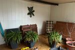 Etagenwohnung Bad Wildungen - 5 Zimmer, 125 m&sup2;, 1.200&euro; | Angebot:26135602