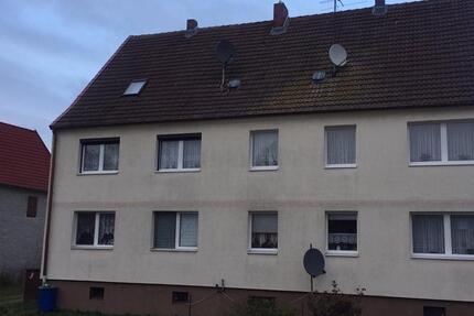 Helle, renovierte große 1-Zi.Whg in Hakeborn 1 zimmer