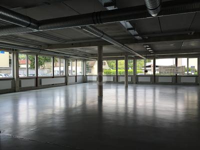 ZENTRALE LAGE IM DREILÄNDERECK - Gewerbeobjekt Lörrach | Angebot:25879823