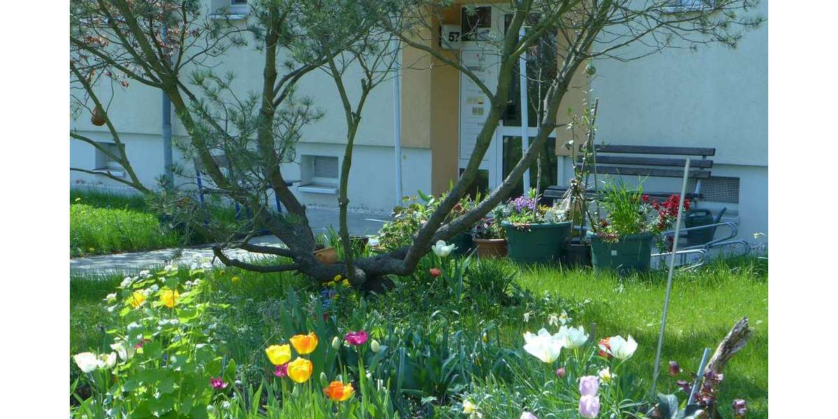 Etagenwohnung Borna - 2 Zimmer, 48 m&sup2;, 318&euro; | Angebot:25230568