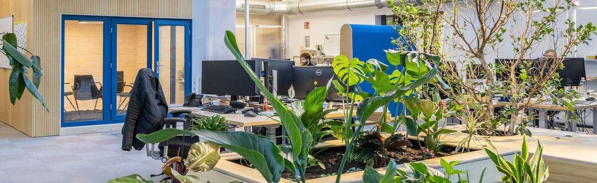 Wir suchen nachhaltig arbeitende Unternehmen - All-in-Miete zimmer