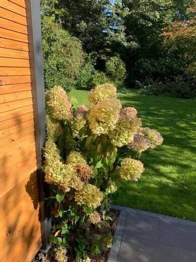 Etagenwohnung Hamburg Nienstedten - 5 Zimmer, 140 m&sup2;, 3.500&euro; | Angebot:26190642