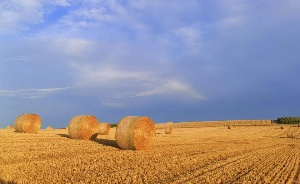 Wohnen auf Zeit Wörth am Rhein - 1 Zimmer, 18 m&sup2;, 45&euro; | Angebot:24603492