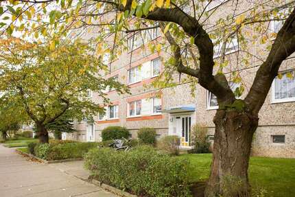 Wohnung Neubrandenburg Datzeberg - 4 Zimmer, 76 m&sup2;, 334&euro; | Angebot:27280678