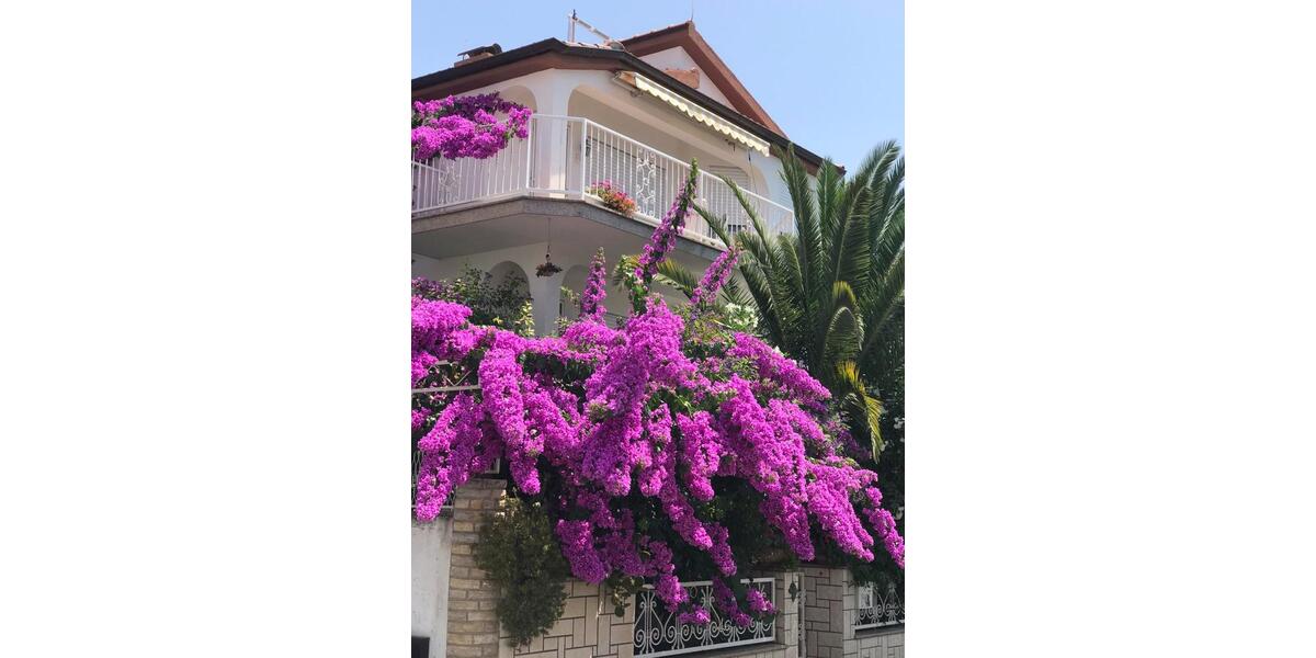 Erdgeschoßwohnung Bad Vilbel - 2 Zimmer, 40 m&sup2;, 80&euro; | Angebot:24803572