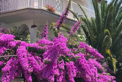 Wohnung Bad Vilbel - 2 Zimmer, 40 m&sup2;, 80&euro; | Angebot:24803572